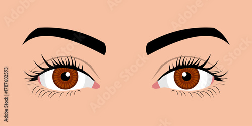 Close up of a woman's eyes