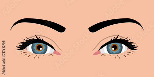 Close up of a woman's eyes