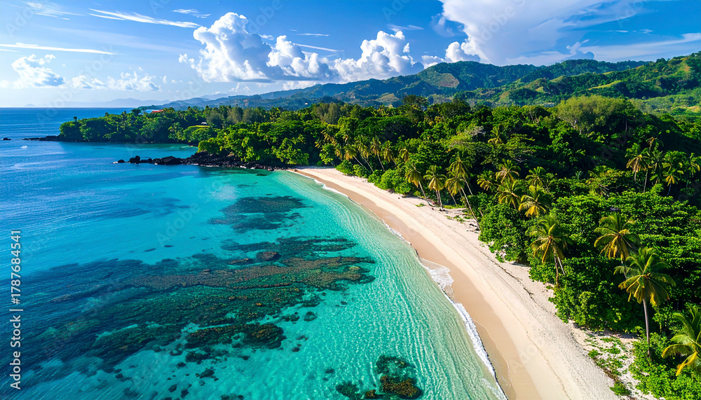 Fototapeta premium Aerial view of tropical beach and clear blue water