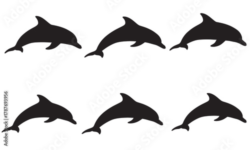 Six jumping dolphin silhouettes on white background