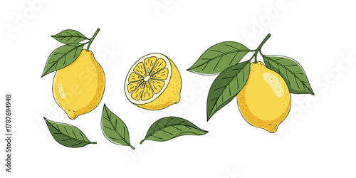 vector illustration of lemon for banners, advertisements, social media, flyers, etc