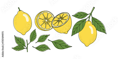 vector illustration of lemon for banners, advertisements, social media, flyers, etc