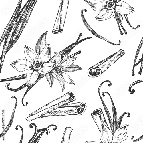 Vanilla and cinnamon hand-drawn vector seamless pattern. Black and white ornament with flowers, pods, sticks. Design elements for packaging of desserts, spices, and essential oils.
