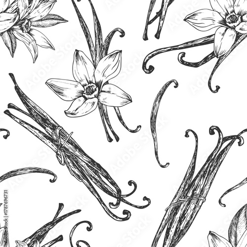Vanilla hand-drawn vector seamless pattern. Black and white ornament with flowers and pods. Design elements for packaging of desserts, spices, and essential oils.