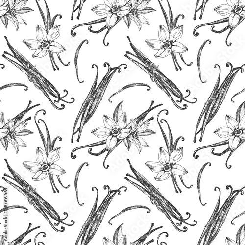 Vanilla hand-drawn vector seamless pattern. Black and white ornament with flowers and pods. Design elements for packaging of desserts, spices, and essential oils.