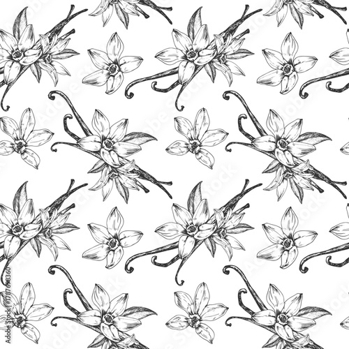 Vanilla hand-drawn vector seamless pattern. Black and white ornament with flowers and pods. Design elements for packaging of desserts, spices, and essential oils.