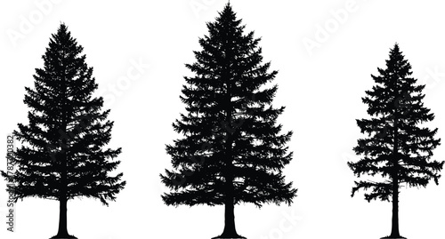 PrintEvergreen pine tree silhouettes, nature forest illustration, black fir tree collection for design, woodland landscape vector art, Christmas tree concept