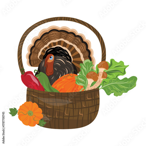 Thanksgiving Basket vector Illustration. Turkey, basket, vegetables