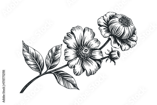Black and White Branch with Flowers and Leaves