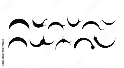 Vector art of set of moon phases crescent moon shapes collection of lunar cycle symbols vector illustration of celestial bodies in different stages