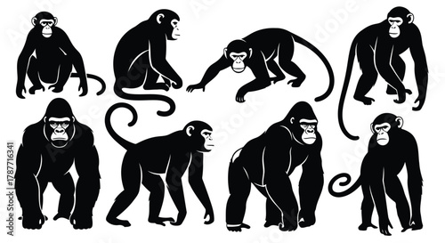 Vector art of a collection of silhouette vector illustrations featuring various species of monkeys and gorillas