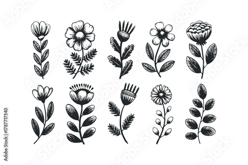 Hand drawn botanical sprigs and floral elements