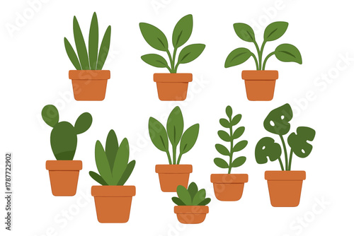 Various green houseplants displayed in simple terracotta containers