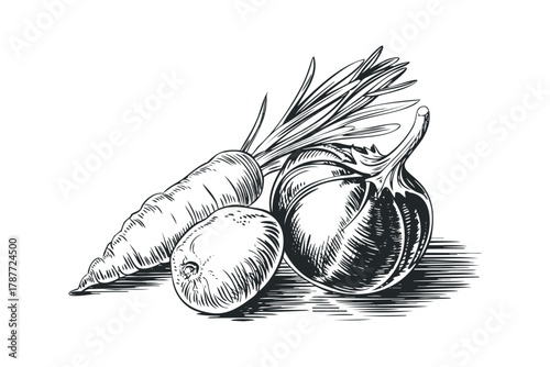 Line art drawing of carrot potato and onion