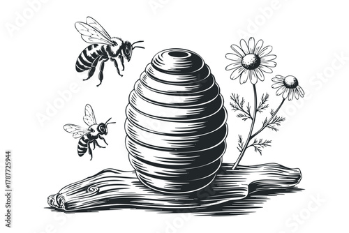 Honey Bee and Apiary Swarm Illustration