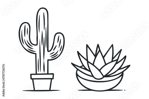 Outline drawings of potted cactus and succulent plants
