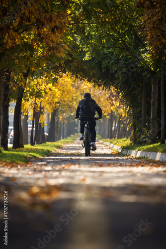 Alee frumoasă înconjurată de copaci în toamnă cu frunze colorate