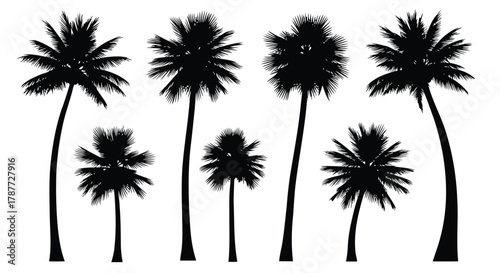 Vector art of silhouette of various palm trees, creating a tropical and exotic atmosphere with their diverse shapes and sizes
