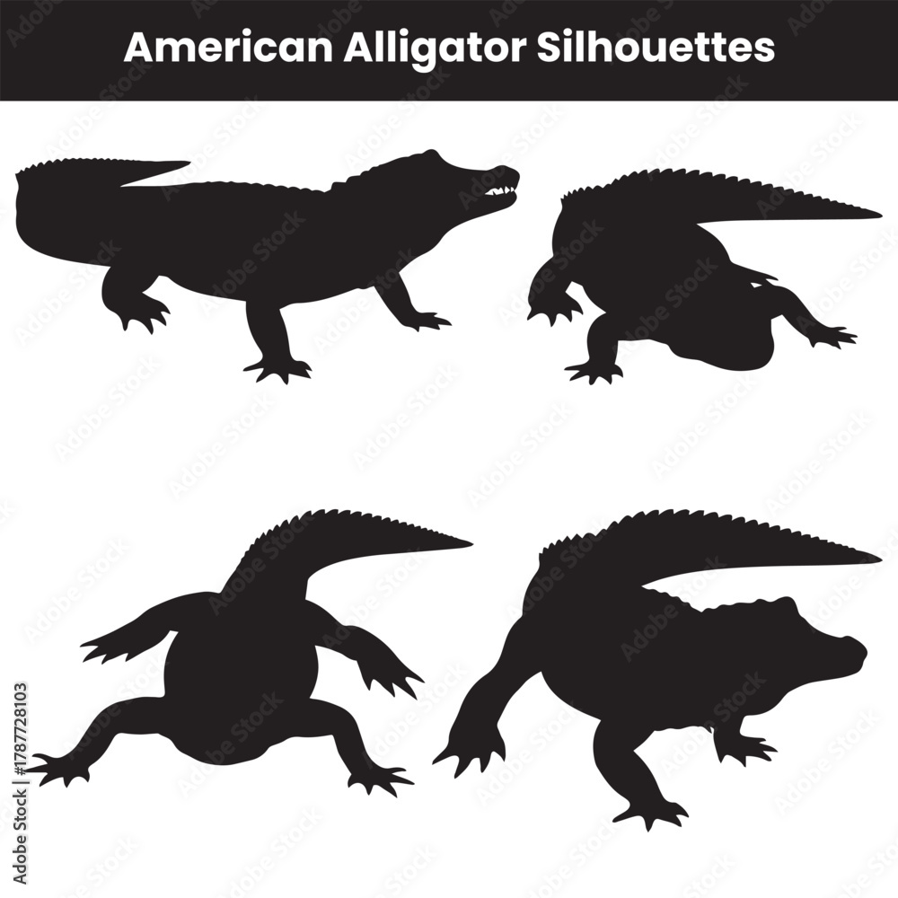 Fototapeta premium American Alligator Silhouettes