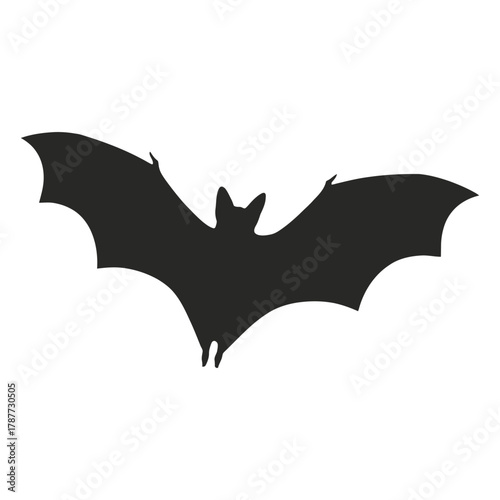 bat and bats