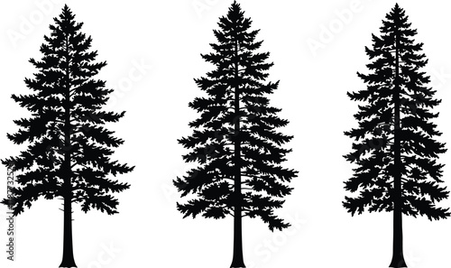 PrintPine tree silhouettes, tall evergreen forest illustration, black fir trees isolated on white background, nature vector art, woodland and outdoor design