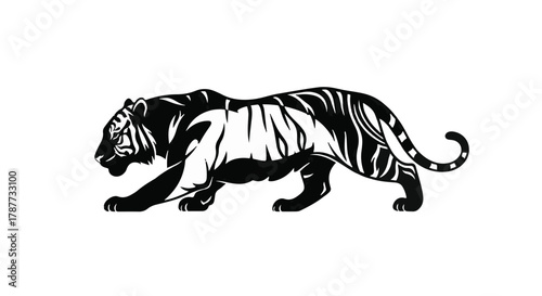 Majestic tiger prowling with powerful grace and striking stripes