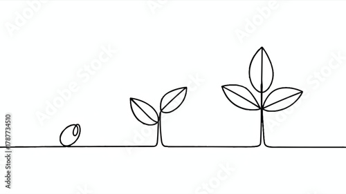 A minimalist black and white line drawing showing the growth stages of a plant from seed to mature form (1)_traced