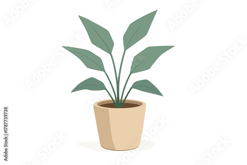 Broad leaf houseplant growing in a simple beige ceramic container