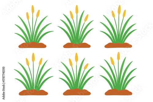 Seamless pattern of cattail plants growing in soil patches