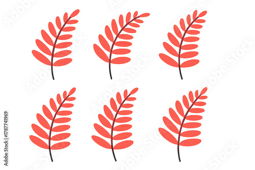 Six stylized coral red fern or compound leaves arrangement