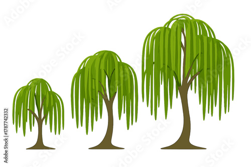 Three green weeping willow trees in various sizes and growth stages