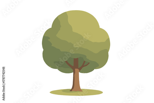 Stylized deciduous tree with rounded canopy and textured green foliage