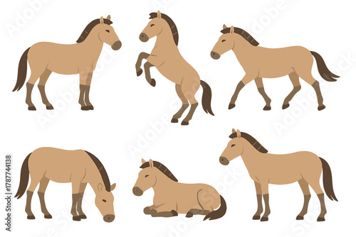 Six Przewalski horses in various dynamic poses and natural actions