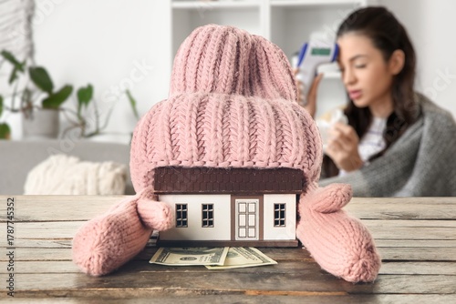 Model of house, money and w...