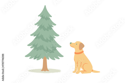 Yellow labrador dog sitting beside a green pine tree