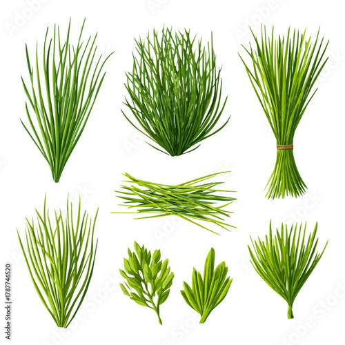 An Icon illustration, Vibrant Chives Collection isolated on a white background, vector, simple flat 2D icon, minimalist design, EPS, simple illustration	