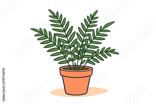 Lush green houseplant with foliage in classic terracotta container