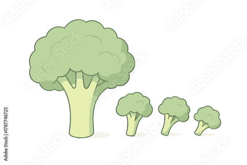 Broccoli florets displayed in decreasing comparison