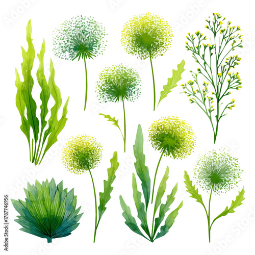 An Icon illustration, Vibrant Dandelion Greens Collections isolated on a white background, vector, simple flat 2D icon, minimalist design, EPS, simple illustration	