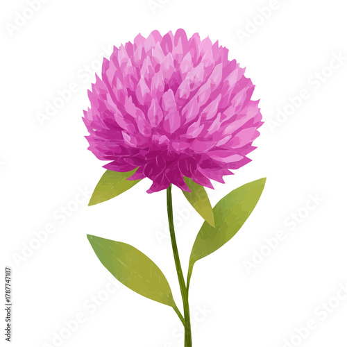 An Icon illustration, vibrant globe amaranth flower isolated on a white background, vector, simple flat 2D icon, minimalist design, EPS, simple illustration	