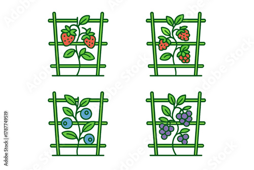 Collection of climbing berries and fruit plants growing on green garden trellises