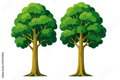Pair of stylized deciduous trees with lush green foliage and thick trunks