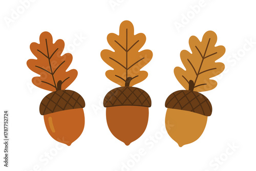 Three stylized autumn oak acorns with attached leaves