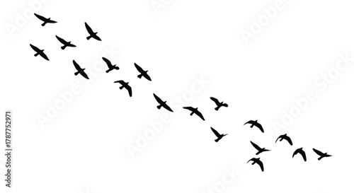 Vector art of flock of birds flying in formation, representing freedom, migration, and natures beauty in a dynamic and graceful silhouette