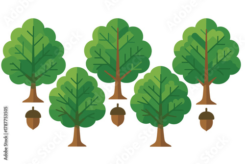Stylized oak trees and acorns in various sizes for nature design