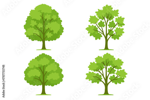 Set of four stylized green deciduous trees with different canopy shapes