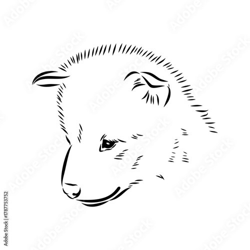 Greenland dog, husky, vector sketch