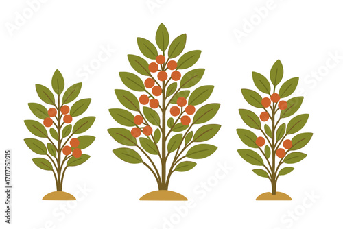 Three stylized berry bushes with green foliage and orange fruit clusters