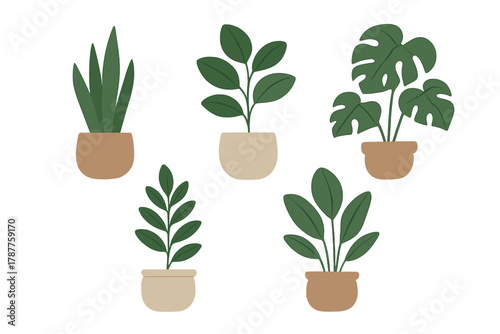 Five stylized potted house plants with vibrant green foliage