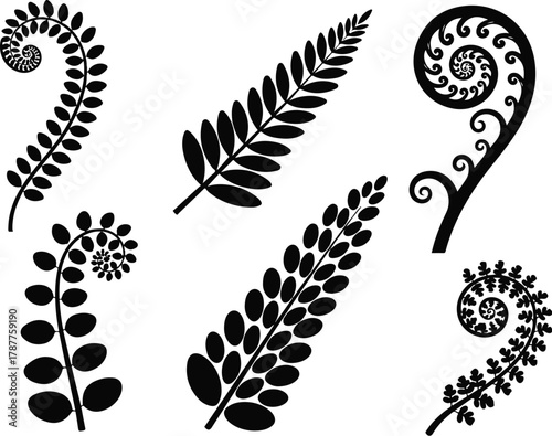 Decorative fern leaves and koru spiral plant silhouettes

